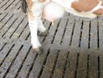 IMG_1076_660px.jpg